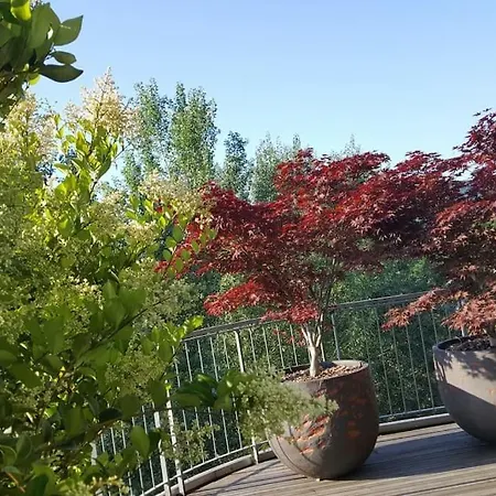 Vista San Luca Con Terrazza Panoramica * بولونيا